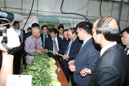 Phó Thủ tướng Nguyễn Xuân Phúc thăm khu nghiên cứu giống cây và nghe báo cáo các kết quả nổi bật trong công tác nghiên cứu và chuyển giao tiến bộ kỹ thuật của Viện Cây lương thực và Cây thực phẩm. Ảnh: TTXVN phát