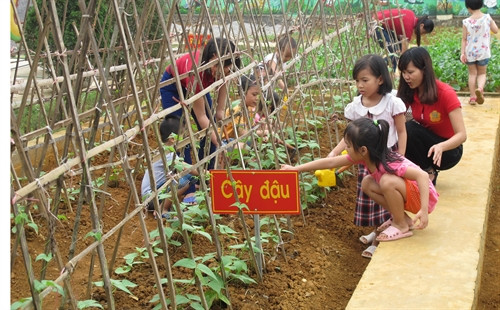 Học sinh trường mầm non Đông Sơn, xã Đông Sơn, thành phố Tam Điệp tìm hiểu về các loại rau tại "Vườn rau sạch cho con". Ảnh: Hải Yến - TTXVN Học sinh trường mầm non Đông Sơn, xã Đông Sơn, thành phố Tam Điệp tìm hiểu về các loại rau tại "Vườn rau sạch cho con". Ảnh: Hải Yến - TTXVN