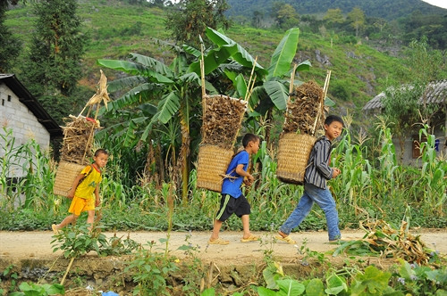 Quẩy tấu là sự sáng tạo trong lao động của người dân miền núi, nó được ví như chiếc địu, như chiếc ba lô và hầu hết mọi thứ cần mang vác đều được đựng trong quẩy tấu. Quẩy tấu là sự sáng tạo trong lao động của người dân miền núi, nó được ví như chiếc địu, như chiếc ba lô và hầu hết mọi thứ cần mang vác đều được đựng trong quẩy tấu.