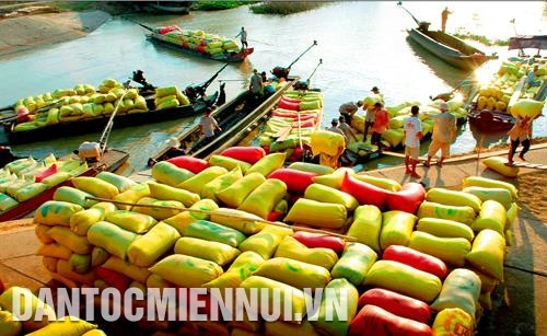 Vận chuyển lúa đến điểm thu mua tại xã Châu Hưng A, huyện Vĩnh Lợi (Bạc Liêu). Ảnh: Phan Thanh Cường Vận chuyển lúa đến điểm thu mua tại xã Châu Hưng A, huyện Vĩnh Lợi (Bạc Liêu). Ảnh: Phan Thanh Cường