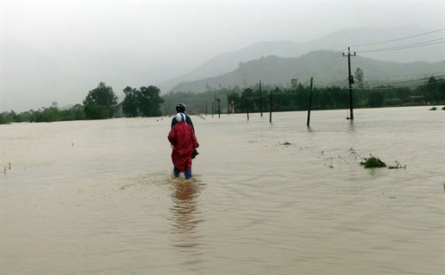 Ảnh minh họa- TTXVN Ảnh minh họa- TTXVN