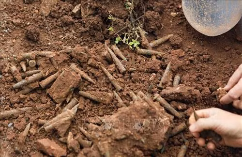 Quá trình khai quật tại vị trí hài cốt phát hiện rất nhiều đạn còn sót sau chiến tranh. Ảnh: Xuân Tư - TTXVN