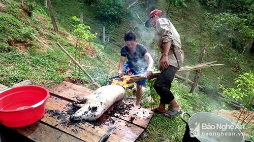 Thuộc địa phận 3 xã Nậm Giải, Châu Kim và Châu Thôn, huyện Quế Phong (Nghệ An) dốc Bù Chồng Cha mang vẻ đẹp bí ẩn riêng có. Những ngày này, Bù Chồng Cha đón rất nhiều phượt thủ lên đây vui Tết Độc lập cùng dân bản. Ảnh: Thò Cường Người dân làm cầu thang dẫn khách lên bãi bằng trên đỉnh Bù Chồng Cha thưởng thức những món đặc sản và các hoạt động vui Tết Độc lập. Ảnh: Thò Cường Mua gà về ăn Tết. Ảnh: Thò Cường Mổ lợn đón khách đến bản vui Tết. Ảnh: Thò Cường Chế biến món chẻo từ cá nướng, muối, hành, ớt, mặc khẻn... để chấm măng nứa - món ngon không thể thiếu trong mâm cỗ đón Tết Độc lập. Ảnh: Thò Cường Uống rượu cần, múa lăm vông bên lửa trại bập bùng. Ảnh: Thò Cường Lên Bù Chồng Cha đón Tết Độc lập, du khách sẽ có ấn tượng khó quên với cảnh sắc, khí hậu và tình người nồng hậu nơi đây. Ảnh: Thò Cường Thuộc địa phận 3 xã Nậm Giải, Châu Kim và Châu Thôn, huyện Quế Phong (Nghệ An) dốc Bù Chồng Cha mang vẻ đẹp bí ẩn riêng có. Những ngày này, Bù Chồng Cha đón rất nhiều phượt thủ lên đây vui Tết Độc lập cùng dân bản. Ảnh: Thò Cường Người dân làm cầu thang dẫn khách lên bãi bằng trên đỉnh Bù Chồng Cha thưởng thức những món đặc sản và các hoạt động vui Tết Độc lập. Ảnh: Thò Cường Mua gà về ăn Tết. Ảnh: Thò Cường Mổ lợn đón khách đến bản vui Tết. Ảnh: Thò Cường Chế biến món chẻo từ cá nướng, muối, hành, ớt, mặc khẻn... để chấm măng nứa - món ngon không thể thiếu trong mâm cỗ đón Tết Độc lập. Ảnh: Thò Cường Uống rượu cần, múa lăm vông bên lửa trại bập bùng. Ảnh: Thò Cường Lên Bù Chồng Cha đón Tết Độc lập, du khách sẽ có ấn tượng khó quên với cảnh sắc, khí hậu và tình người nồng hậu nơi đây. Ảnh: Thò Cường