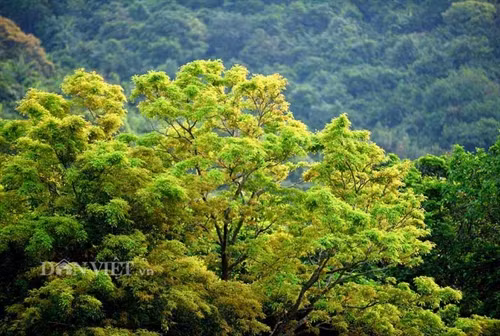 Sơn Trà đẹp miên man thời khắc giao mùa ảnh 10