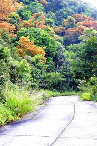 Sơn Trà đẹp miên man thời khắc giao mùa ảnh 9