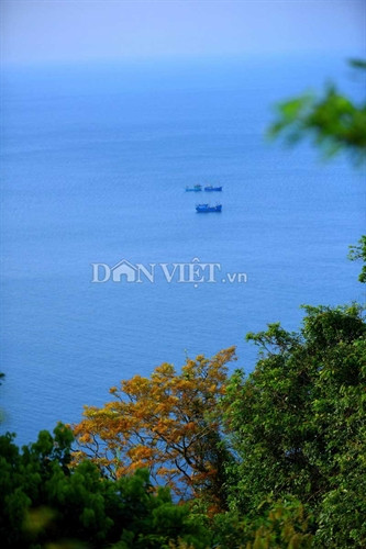 Sơn Trà đẹp miên man thời khắc giao mùa ảnh 2