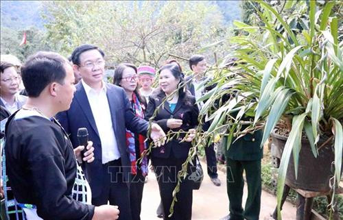 Phó Thủ tướng Vương Đình Huệ thăm mô hình trồng hoa Địa Lan tại bản Sin Suối Hồ. Ảnh: Công Tuyên-TTXVN Phó Thủ tướng Vương Đình Huệ thăm mô hình trồng hoa Địa Lan tại bản Sin Suối Hồ. Ảnh: Công Tuyên-TTXVN