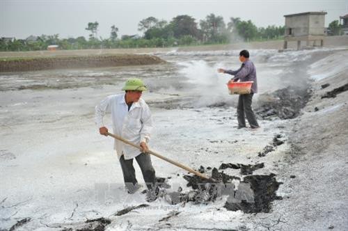Cải tạo hồ nuôi, tiêu độc khử trùng, đảm bảo vệ sinh cho hồ cá tại xã Gia Hòa, huyện Gia Viễn, tỉnh Ninh Bình. Ảnh: Minh Đức - TTXVN Cải tạo hồ nuôi, tiêu độc khử trùng, đảm bảo vệ sinh cho hồ cá tại xã Gia Hòa, huyện Gia Viễn, tỉnh Ninh Bình. Ảnh: Minh Đức - TTXVN