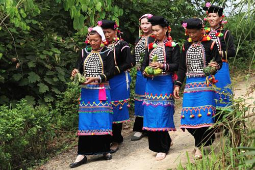 "Cuộc sống của người dân tộc Si La gắn chặt với núi rừng, điều kiện canh tác rất khó khăn nên đồng bào luôn mơ ước về sự no đủ. Đó là lý do ra đời của Lễ mừng cơm mới", Nghệ nhân ưu tú Hù Cố Xuân, Kan Hồ, Mường Tè, Lai Châu nói. Lễ cơm mới diễn ra tại ra đình trưởng họ của mỗi dòng họ. Những người phụ nữ trong gia đình sẽ chuẩn bị các lễ vật. Trưởng họ sẽ chuẩn bị ba viên đá (1 viên đại diện cho thần linh, 1 viên là trưởng họ, 1 viên là khách đến nhà). Gia chủ (trưởng họ) thay mặt dòng họ để làm phần nghi lễ mời tổ tiên, ông bà, cha mẹ và những người đã khuất về hưởng thụ. Lễ cúng thường được làm vào buổi chiều, bởi theo quan niệm của người Si La khi mặt trời lặn ông bà mới có thể về bên con cháu. Những người đại diện cho các gia đình trong dòng họ chuẩn bị lễ vật, hẹn ngày y Hợi, Ngọ, Tỵ, Thân hoặc Thìn để mang lễ vật đi làm lễ. Khi đến nơi, mỗi người sẽ mở những lễ vật bày lên chiếc mâm lớn. Lễ vật là đồ ăn thức uống quen thuộc, được chuẩn bị từ nhiều ngày trước đó. Mỗi gia đình tự đồ cơm bằng gạo mới của nhà mình, gói trong lá chuối, 1 số loại củ như khoai sọ, gừng cùng với 1 con sóc, 1 con cua, 1 con cá đã được chế biến, gói vào lá chuối, hấp chín. Đây là những lễ vật bắt buộc phải có. Thầy cúng đặt cơm và cây lúa chuẩn bị thu hoạch lên ban thờ tổ tiên để kết thúc nghi thức cúng. Sau lễ, gia chủ và con cháu trong nhà bày mâm mời anh em họ hàng, khách khứa trong bản dự bữa cơm mới. Gia đình nào khó khăn, trưởng dòng họ cho đem lễ vật đã cúng về nhà ăn. Các phụ nữ say sưa uống rượu trong bữa cơm. Họ nhảy múa, hát các bài dân ca truyền thống, trò chơi dân gian của dân tộc mình. Các điệu hát và tiếng sáo, tiếng đàn vang lên khắp núi rừng báo hiệu một mùa bội thu, an lành, no ấm. "Cuộc sống của người dân tộc Si La gắn chặt với núi rừng, điều kiện canh tác rất khó khăn nên đồng bào luôn mơ ước về sự no đủ. Đó là lý do ra đời của Lễ mừng cơm mới", Nghệ nhân ưu tú Hù Cố Xuân, Kan Hồ, Mường Tè, Lai Châu nói. Lễ cơm mới diễn ra tại ra đình trưởng họ của mỗi dòng họ. Những người phụ nữ trong gia đình sẽ chuẩn bị các lễ vật. Trưởng họ sẽ chuẩn bị ba viên đá (1 viên đại diện cho thần linh, 1 viên là trưởng họ, 1 viên là khách đến nhà). Gia chủ (trưởng họ) thay mặt dòng họ để làm phần nghi lễ mời tổ tiên, ông bà, cha mẹ và những người đã khuất về hưởng thụ. Lễ cúng thường được làm vào buổi chiều, bởi theo quan niệm của người Si La khi mặt trời lặn ông bà mới có thể về bên con cháu. Những người đại diện cho các gia đình trong dòng họ chuẩn bị lễ vật, hẹn ngày y Hợi, Ngọ, Tỵ, Thân hoặc Thìn để mang lễ vật đi làm lễ. Khi đến nơi, mỗi người sẽ mở những lễ vật bày lên chiếc mâm lớn. Lễ vật là đồ ăn thức uống quen thuộc, được chuẩn bị từ nhiều ngày trước đó. Mỗi gia đình tự đồ cơm bằng gạo mới của nhà mình, gói trong lá chuối, 1 số loại củ như khoai sọ, gừng cùng với 1 con sóc, 1 con cua, 1 con cá đã được chế biến, gói vào lá chuối, hấp chín. Đây là những lễ vật bắt buộc phải có. Thầy cúng đặt cơm và cây lúa chuẩn bị thu hoạch lên ban thờ tổ tiên để kết thúc nghi thức cúng. Sau lễ, gia chủ và con cháu trong nhà bày mâm mời anh em họ hàng, khách khứa trong bản dự bữa cơm mới. Gia đình nào khó khăn, trưởng dòng họ cho đem lễ vật đã cúng về nhà ăn. Các phụ nữ say sưa uống rượu trong bữa cơm. Họ nhảy múa, hát các bài dân ca truyền thống, trò chơi dân gian của dân tộc mình. Các điệu hát và tiếng sáo, tiếng đàn vang lên khắp núi rừng báo hiệu một mùa bội thu, an lành, no ấm.