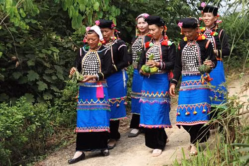 "Cuộc sống của người dân tộc Si La gắn chặt với núi rừng, điều kiện canh tác rất khó khăn nên đồng bào luôn mơ ước về sự no đủ. Đó là lý do ra đời của Lễ mừng cơm mới", Nghệ nhân ưu tú Hù Cố Xuân, Kan Hồ, Mường Tè, Lai Châu nói. Lễ cơm mới diễn ra tại ra đình trưởng họ của mỗi dòng họ. Những người phụ nữ trong gia đình sẽ chuẩn bị các lễ vật. Trưởng họ sẽ chuẩn bị ba viên đá (1 viên đại diện cho thần linh, 1 viên là trưởng họ, 1 viên là khách đến nhà). Gia chủ (trưởng họ) thay mặt dòng họ để làm phần nghi lễ mời tổ tiên, ông bà, cha mẹ và những người đã khuất về hưởng thụ. Lễ cúng thường được làm vào buổi chiều, bởi theo quan niệm của người Si La khi mặt trời lặn ông bà mới có thể về bên con cháu. Những người đại diện cho các gia đình trong dòng họ chuẩn bị lễ vật, hẹn ngày y Hợi, Ngọ, Tỵ, Thân hoặc Thìn để mang lễ vật đi làm lễ. Khi đến nơi, mỗi người sẽ mở những lễ vật bày lên chiếc mâm lớn. Lễ vật là đồ ăn thức uống quen thuộc, được chuẩn bị từ nhiều ngày trước đó. Mỗi gia đình tự đồ cơm bằng gạo mới của nhà mình, gói trong lá chuối, 1 số loại củ như khoai sọ, gừng cùng với 1 con sóc, 1 con cua, 1 con cá đã được chế biến, gói vào lá chuối, hấp chín. Đây là những lễ vật bắt buộc phải có. Thầy cúng đặt cơm và cây lúa chuẩn bị thu hoạch lên ban thờ tổ tiên để kết thúc nghi thức cúng. Sau lễ, gia chủ và con cháu trong nhà bày mâm mời anh em họ hàng, khách khứa trong bản dự bữa cơm mới. Gia đình nào khó khăn, trưởng dòng họ cho đem lễ vật đã cúng về nhà ăn. Các phụ nữ say sưa uống rượu trong bữa cơm. Họ nhảy múa, hát các bài dân ca truyền thống, trò chơi dân gian của dân tộc mình. Các điệu hát và tiếng sáo, tiếng đàn vang lên khắp núi rừng báo hiệu một mùa bội thu, an lành, no ấm.