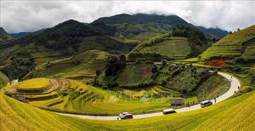 Ngày mùa vùng cao Tây Bắc. Ảnh: TTXVN Ruộng bậc thang - Nét đẹp văn hóa và công trình nghệ thuật độc đáo của đồng bào các dân tộc vùng cao phía Bắc. Ảnh: TTXVN Vẻ đẹp thơ mộng trên các thửa ruộng bậc thang huyện Mù Cang Chải, tỉnh Yên Bái trong mùa nước đổ. Ảnh: TTXVN Mùa gặt trên những thửa ruộng bậc thang huyện Mù Cang Chải (Yên Bái). Ảnh: TTXVN Rực rỡ mùa vàng Mù Cang Chải. Ảnh: TTXVN Thửa ruộng bậc thang hình trái tim ở xã La Pán Tẩn, huyện Mù Cang Chải, tỉnh Yên Bái. Ảnh: TTXVN Ruộng bậc thang Mù Cang Chải vào mùa lúa chín. Ảnh: TTXVN Vẻ đẹp ruộng bậc thang đồi Mâm Xôi, xã La Pán Tẩn, huyện Mù Cang Chải (Yên Bái). Ảnh: TTXVN