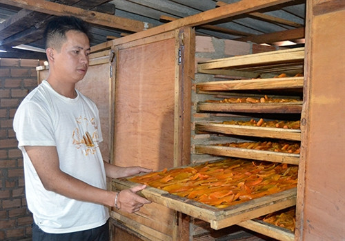 Khoai lang mật Đà Lạt: Từ nông trại tới bàn ăn ảnh 1