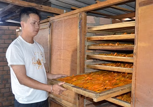 Khoai lang mật Đà Lạt: Từ nông trại tới bàn ăn ảnh 1 Khoai lang mật Đà Lạt: Từ nông trại tới bàn ăn ảnh 1