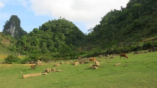 Núi “Mắt thần” - thác Nặm Trá ảnh 9 Núi “Mắt thần” - thác Nặm Trá ảnh 9