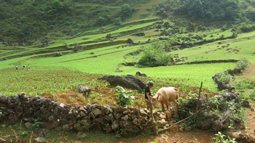 Núi “Mắt thần” - thác Nặm Trá ảnh 5 Núi “Mắt thần” - thác Nặm Trá ảnh 5