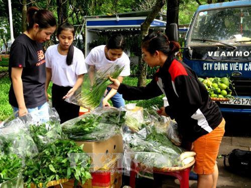 Khách hàng mua rau sạch tại Hội chợ. Ảnh: Hồng Nhung - TTXVN