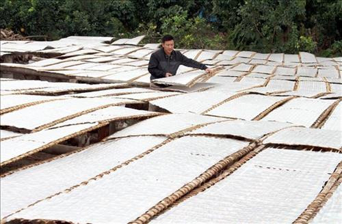 Người dân phơi bánh để làm mỳ. Ảnh: Đồng Thúy-TTXVN Người dân phơi bánh để làm mỳ. Ảnh: Đồng Thúy-TTXVN