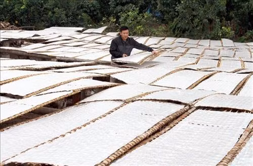 Người dân phơi bánh để làm mỳ. Ảnh: Đồng Thúy-TTXVN