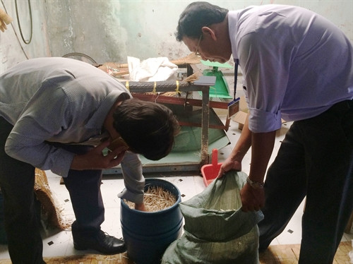 Giá ngâm ủ “siêu tốc” bằng hóa chất Trung Quốc, được phát hiện tại cở sở của bà Phượng.