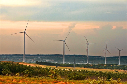 Ảnh minh họa- TTXVN Ảnh minh họa- TTXVN