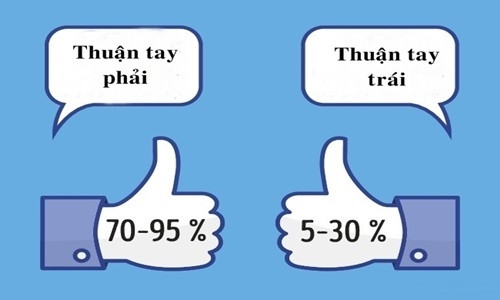 Số người thuận tay phải nhiều hơn số người thuận tay trái. Ảnh: Deposit Photos. Số người thuận tay phải nhiều hơn số người thuận tay trái. Ảnh: Deposit Photos.