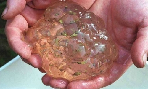 Chất lỏng sền sệt rơi từ trên trời xuống. Ảnh: Pinimg. Chất lỏng sền sệt rơi từ trên trời xuống. Ảnh: Pinimg.