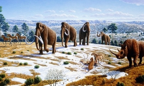 Các loài động vật có vú đột nhiên xuất hiện khi khủng long bị tuyệt chủng cách đây 65 triệu năm. Ảnh: Wikipedia. Các loài động vật có vú đột nhiên xuất hiện khi khủng long bị tuyệt chủng cách đây 65 triệu năm. Ảnh: Wikipedia.