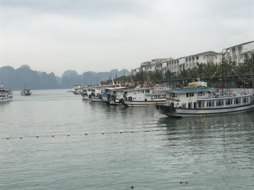 Tàu du lịch hoạt động trên vịnh Hạ Long. Ảnh: Thùy Linh/BNEWS/TTXVN