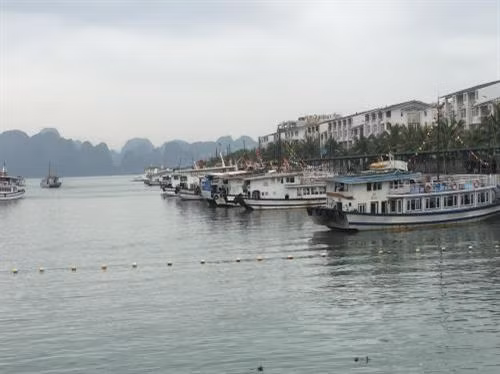 Tàu du lịch hoạt động trên vịnh Hạ Long. Ảnh: Thùy Linh/BNEWS/TTXVN