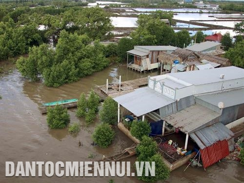 Những ngôi nhà ''thích ứng với biến đổi khí hậu'' ở vùng sông nước Cà Mau. Ảnh: Kim Há Những ngôi nhà ''thích ứng với biến đổi khí hậu'' ở vùng sông nước Cà Mau. Ảnh: Kim Há