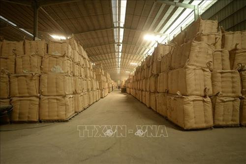 Kho tạm trữ lúa ở huyện Tân Hồng (Đồng Tháp). Ảnh: Nguyễn Văn Trí - TTXVN Kho tạm trữ lúa ở huyện Tân Hồng (Đồng Tháp). Ảnh: Nguyễn Văn Trí - TTXVN