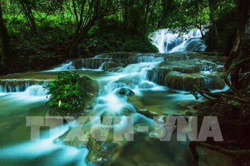 Vẻ đẹp thơ mộng của Thác Mơ từ lâu đã trở thành biểu tượng du lịch của huyện Na Hang – Tuyên Quang là nơi dừng chân của du khách khi du lịch nơi đây. Truyền thuyết Thác Mơ là câu chuyện đầy cảm động về vợ chồng nàng Mơ sinh sống dưới chân núi Pắc Ban. Một ngày, người chồng đi hái thuốc trong rừng mà mãi không về. Nàng Mơ thương nhớ không nguôi nên liều mình băng rừng đi tìm chồng nhiều ngày rồi lạc lối, và hóa thành một dòng thác trắng xóa. Ảnh: Trọng Đạt – TTXVN Vẻ đẹp thơ mộng của Thác Mơ từ lâu đã trở thành biểu tượng du lịch của huyện Na Hang – Tuyên Quang là nơi dừng chân của du khách khi du lịch nơi đây. Truyền thuyết Thác Mơ là câu chuyện đầy cảm động về vợ chồng nàng Mơ sinh sống dưới chân núi Pắc Ban. Một ngày, người chồng đi hái thuốc trong rừng mà mãi không về. Nàng Mơ thương nhớ không nguôi nên liều mình băng rừng đi tìm chồng nhiều ngày rồi lạc lối, và hóa thành một dòng thác trắng xóa. Ảnh: Trọng Đạt – TTXVN