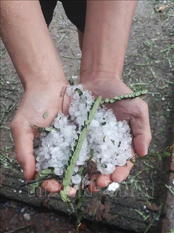 Mưa đá tại trung tâm huyện Mường Nhé. Ảnh: Xuân Tư – TTXVN Mưa đá tại trung tâm huyện Mường Nhé. Ảnh: Xuân Tư – TTXVN