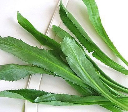 Sau 7 ngày, sỏi thận tự đào thải ra khỏi cơ thể nhờ sử dụng mùi tàu ảnh 2 Sau 7 ngày, sỏi thận tự đào thải ra khỏi cơ thể nhờ sử dụng mùi tàu ảnh 2