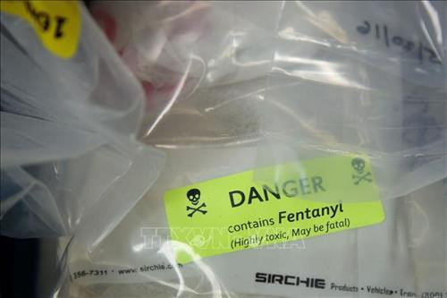 Những túi chứa ma túy, trong đó có fentanyl, được trưng bày trong cuộc họp báo sau một vụ bắt giữ ma túy lớn, tại văn phòng Tổng công tố New York, Mỹ, ngày 23/9/2016. Ảnh tư liệu: AFP/ TTXVN Những túi chứa ma túy, trong đó có fentanyl, được trưng bày trong cuộc họp báo sau một vụ bắt giữ ma túy lớn, tại văn phòng Tổng công tố New York, Mỹ, ngày 23/9/2016. Ảnh tư liệu: AFP/ TTXVN