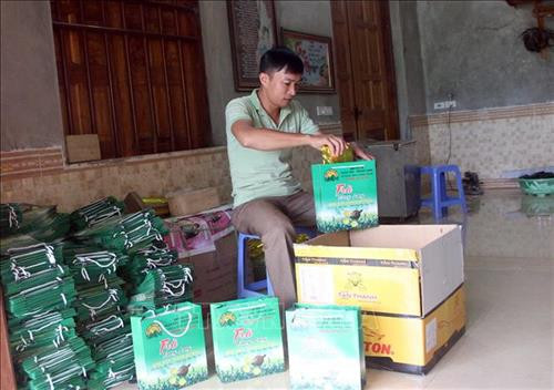 Anh Nguyễn Mạnh Thắng với sản phẩm chè hữu cơ của HTX chè Ngân Sơn Trung Long. Ảnh: Quang Cường – TTXVN Anh Nguyễn Mạnh Thắng với sản phẩm chè hữu cơ của HTX chè Ngân Sơn Trung Long. Ảnh: Quang Cường – TTXVN