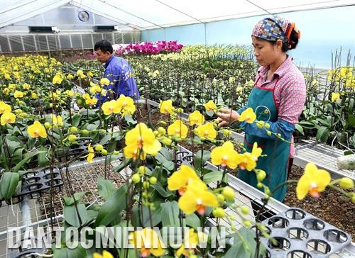 Đường giao thông nông thôn ở xã Song Phượng, huyện Đan Phượng khang trang, sạch đẹp. Ảnh: Vũ Sinh – DTMN Kiên cố hóa kênh mương và làm đường giao thông nội đồng ở xã Đốc Tín, huyện Mỹ Đức. Ảnh: Vũ Sinh – DTMN Trang trại trồng hoa Đan Hoài, thị trấn Phùng, huyện Đan Phượng được đầu tư sản xuất theo tiêu chí nông thôn mới. Ảnh: Vũ Sinh – DTMN Đường giao thông nông thôn ở xã Song Phượng, huyện Đan Phượng khang trang, sạch đẹp. Ảnh: Vũ Sinh – DTMN Kiên cố hóa kênh mương và làm đường giao thông nội đồng ở xã Đốc Tín, huyện Mỹ Đức. Ảnh: Vũ Sinh – DTMN Trang trại trồng hoa Đan Hoài, thị trấn Phùng, huyện Đan Phượng được đầu tư sản xuất theo tiêu chí nông thôn mới. Ảnh: Vũ Sinh – DTMN