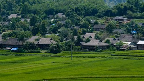 Bình yên bản Nà Tăm