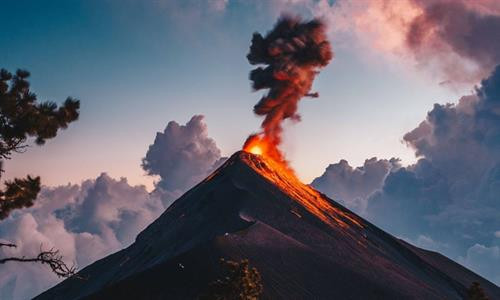 Vịt đuôi dài lặn xuống nước tìm mồi, chỉ còn phần đuôi nhô lên trên trong một buổi sáng mùa thu ở Toronto, Canada. Vịt đuôi dài thường kiếm được đủ thức ăn ở gần mặt nước, nhưng chúng cũng có thể lặn sâu đến 60 m. Bò sừng dài Texas trong buổi hoàng hôn ở Gainesville, Mỹ. Bò sừng dài là hậu duệ của những con bò đầu tiên mà người Tây Ban Nha mang đến châu Mỹ. Cảnh tượng ngoạn mục khi mặt trời lặn trên bãi biển Newport, California, được thiết bị bay không người lái chụp từ trên cao. Thái Bình Dương chi phối khí hậu ôn hòa ở khu vực này với mùa hè mát và mùa đông ấm hơn. Khỉ Nhật Bản, còn gọi là khỉ tuyết, chải lông cho nhau ở một suối nước nóng tự nhiên tại Jigokudani. Hành động này nhằm loại bỏ các loài bọ và da chết, đồng thời tăng cường mối liên kết xã hội. Chải lông ở suối nước nóng còn giúp chúng giữ ấm trong mùa đông. Cảnh hoàng hôn trên thác Grand Falls ở bang Arizona, Mỹ. "Cảnh tượng này cho thấy tác động của mưa mùa hè trên sa mạc. Những dòng chảy đục ngầu khiến thác nước này còn được mệnh danh là thác Chocolate", nhiếp ảnh gia Bernhard Michaelis giải thích. Màn sương dày bao phủ quanh tòa nhà Gate Towers tại Abu Dhabi, Các tiểu vương quốc Arab thống nhất (UAE) trong một buổi sáng mùa đông. Thợ lặn khám phá một hố sụt tự nhiên ở Cancun, bán đảo Yucatan, Mexico. Bán đảo Yucatan với hàng nghìn hố sụt tự nhiên là điểm đến yêu thích của những thợ lặn ưa thám hiểm. Cú xám lớn cất cánh từ một cành cây ở Cochrane, Alberta, Canada. "Tôi chụp ảnh lúc con chim xinh đẹp này đang đậu. Tôi không nghĩ nó sẽ bay thẳng về phía mình như thế. Đó là một khoảnh khắc tuyệt vời", nhiếp ảnh gia Victor Atelevich chia sẻ. Núi lửa Volcán de Fuego tại Guatemala phun trào. Ngọn núi cao hơn 3.600 m so với mực nước biển và vẫn hoạt động suốt hàng trăm năm nay. Đàn ngựa chạy xuyên qua làn tuyết trắng ở Hokkaido, Nhật Bản. Có thể ngựa không phải là loài vật điển hình gắn với Nhật Bản, nhưng chúng đã tồn tại ở quốc gia này khoảng 2.000 năm. Nhật Bản cũng sở hữu tổng cộng 8 giống ngựa thuần chủng. Vịt đuôi dài lặn xuống nước tìm mồi, chỉ còn phần đuôi nhô lên trên trong một buổi sáng mùa thu ở Toronto, Canada. Vịt đuôi dài thường kiếm được đủ thức ăn ở gần mặt nước, nhưng chúng cũng có thể lặn sâu đến 60 m. Bò sừng dài Texas trong buổi hoàng hôn ở Gainesville, Mỹ. Bò sừng dài là hậu duệ của những con bò đầu tiên mà người Tây Ban Nha mang đến châu Mỹ. Cảnh tượng ngoạn mục khi mặt trời lặn trên bãi biển Newport, California, được thiết bị bay không người lái chụp từ trên cao. Thái Bình Dương chi phối khí hậu ôn hòa ở khu vực này với mùa hè mát và mùa đông ấm hơn. Khỉ Nhật Bản, còn gọi là khỉ tuyết, chải lông cho nhau ở một suối nước nóng tự nhiên tại Jigokudani. Hành động này nhằm loại bỏ các loài bọ và da chết, đồng thời tăng cường mối liên kết xã hội. Chải lông ở suối nước nóng còn giúp chúng giữ ấm trong mùa đông. Cảnh hoàng hôn trên thác Grand Falls ở bang Arizona, Mỹ. "Cảnh tượng này cho thấy tác động của mưa mùa hè trên sa mạc. Những dòng chảy đục ngầu khiến thác nước này còn được mệnh danh là thác Chocolate", nhiếp ảnh gia Bernhard Michaelis giải thích. Màn sương dày bao phủ quanh tòa nhà Gate Towers tại Abu Dhabi, Các tiểu vương quốc Arab thống nhất (UAE) trong một buổi sáng mùa đông. Thợ lặn khám phá một hố sụt tự nhiên ở Cancun, bán đảo Yucatan, Mexico. Bán đảo Yucatan với hàng nghìn hố sụt tự nhiên là điểm đến yêu thích của những thợ lặn ưa thám hiểm. Cú xám lớn cất cánh từ một cành cây ở Cochrane, Alberta, Canada. "Tôi chụp ảnh lúc con chim xinh đẹp này đang đậu. Tôi không nghĩ nó sẽ bay thẳng về phía mình như thế. Đó là một khoảnh khắc tuyệt vời", nhiếp ảnh gia Victor Atelevich chia sẻ. Núi lửa Volcán de Fuego tại Guatemala phun trào. Ngọn núi cao hơn 3.600 m so với mực nước biển và vẫn hoạt động suốt hàng trăm năm nay. Đàn ngựa chạy xuyên qua làn tuyết trắng ở Hokkaido, Nhật Bản. Có thể ngựa không phải là loài vật điển hình gắn với Nhật Bản, nhưng chúng đã tồn tại ở quốc gia này khoảng 2.000 năm. Nhật Bản cũng sở hữu tổng cộng 8 giống ngựa thuần chủng.