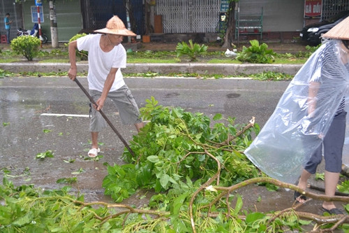 Người dân dọn dẹp sau bão. Người dân dọn dẹp sau bão.