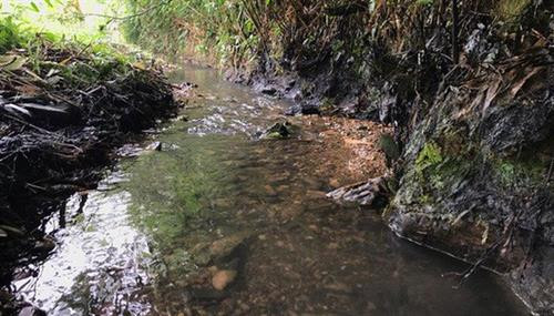 Khe nước đầu nguồn của nhà máy nước Sông Đà có dấu hiệu bị kẻ xấu đổ trộm dầu nhớt thải. Ảnh: vneconomy.vn Khe nước đầu nguồn của nhà máy nước Sông Đà có dấu hiệu bị kẻ xấu đổ trộm dầu nhớt thải. Ảnh: vneconomy.vn