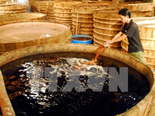 Sản xuất nước mắm tại cơ sở Hồng Đại ở thị trấn Dương Đông, Phú Quốc. Ảnh: Thanh Vũ/TTXVN