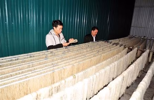 Sản phẩm bún khô Đà Vị của HTX nông nghiệp xã Đà Vị, huyện Na Hang (Tuyên Quang) đã được công nhận cơ sở sản xuất vệ sinh an toàn thực phẩm và đang trình Cục Sở hữu trí tuệ - Bộ Khoa học và Công nghệ cấp chứng nhận bảo hộ sở hữu trí tuệ, mã số, mã vạch. Ảnh Quang Đán – TTXVN