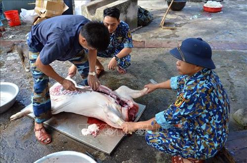 Các chiến sĩ mổ lợn để gói bánh chưng, làm giò chả ăn Tết. Ảnh: Quang Thái – TTXVN Các chiến sĩ mổ lợn để gói bánh chưng, làm giò chả ăn Tết. Ảnh: Quang Thái – TTXVN