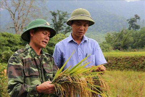 Đại úy Bùi Văn Hải và cán bộ Ủy ban nhân xã Thượng Hóa đang trao đổi về giống lúa cho năng suất cao trong vụ hè thu năm nay. Ảnh: TTXVN