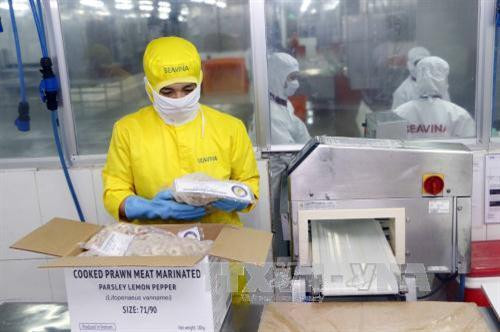 Công ty Cổ phần Seavina, Khu công nghiệp Trà Nóc II, quận Ô Môn, thành phố Cần Thơ là một trong những công ty chế biến tôm hàng đầu của đồng bằng sông Cửu Long cũng như cả nước. Nhà máy của công ty có công suất chế biến 40 tấn tôm nguyên liệu/ngày. Trong ảnh: Công nhân Seavina đóng thùng sản phẩm sau khi chế biến. Ảnh: Thanh Liêm – TTXVN Công ty Cổ phần Seavina, Khu công nghiệp Trà Nóc II, quận Ô Môn, thành phố Cần Thơ là một trong những công ty chế biến tôm hàng đầu của đồng bằng sông Cửu Long cũng như cả nước. Nhà máy của công ty có công suất chế biến 40 tấn tôm nguyên liệu/ngày. Trong ảnh: Công nhân Seavina đóng thùng sản phẩm sau khi chế biến. Ảnh: Thanh Liêm – TTXVN