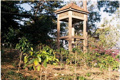 Nhà thờ Cam Ly hay còn gọi là nhà thờ Sơn Cước (đường Nguyễn Khuyến, phường 5, TP Đà Lạt) vừa cổ kính vừa mang trong mình câu chuyện riêng. Nhà thờ này đã được xây dựng và tồn tại 50 năm, trong quá trình hình thành gặp vô vàn khó khăn. Trước đây nhà thờ Cam Ly dành cho đồng bào dân tộc (chủ yếu là người K’ho) nhưng giờ mở rộng ra cho mọi người. Trước cổng nhà thờ có hình hổ và đại bàng, tượng trưng cho sức mạnh, sự bảo vệ và vươn xa. Đường dẫn vào nhà thờ tràn ngập những loài hoa nhỏ xinh. Mái công được xây bằng loại gạch màu cũ xưa theo hình nhà tháp, giống cấu trúc nhà rông của đồng bào Tây Nguyên. Khi bước vào trong nhà thờ, bạn sẽ nhận thấy tràn ngập màu sắc với hình tam giác và hình chữ nhật. Người ta quan niệm hình tam giác tượng trưng cho Yàng - đấng tối cao của đồng bào, cũng là chúa Jesus. Hình vuông là quan niệm vũ trụ, trái đất là trung tâm và mọi thứ xoay quanh Trái đất. Phần đầu của nhà thờ cũng được xây dựng trong các khung hình màu sắc, hình Cha đặt làm trung tâm. Điều đặc biệt là trong nhà thờ này, dưới bức tượng của Cha, người ta đặt một cái đầu trâu với ý nghĩa trâu là loài động vật lành tính, siêng năng và trung thành, mong con người cũng hướng về những điều đó. Hơn 60 em nhỏ đang được nuôi dạy tại đây, có em mồ côi, có em được mẹ gửi vào. Mỗi ngày các em vui chơi, học tập, chiều đến thì vào nhà thờ đọc kinh. Nhà thờ Cam Ly không được nhiều người biết đến, bởi con người ở đây cũng sống tương đối ẩn dật. Mang trong mình nét màu sắc kiến trúc riêng, những thiết kế, trưng bày đều mang ý nghĩa riêng, nhà thờ Cam Ly vừa cũ vừa mới lại vừa ấm áp tình người. Nhà thờ Cam Ly (chấm đỏ) trên bản đồ. Ảnh: Google Map.