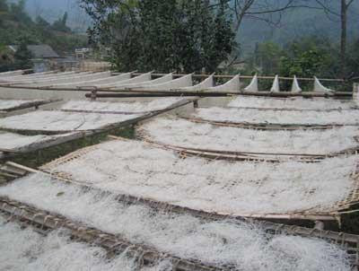 Làng nghề Miến dong Côn Minh – Hương rừng Bắc Kạn ảnh 2 Làng nghề Miến dong Côn Minh – Hương rừng Bắc Kạn ảnh 2