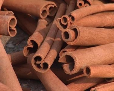 Quế Văn Yên ảnh 1