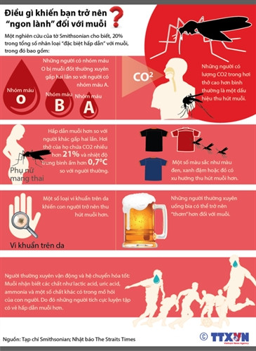 Nguồn: Trung tâm Tư liệu - TTXVN Nguồn: Trung tâm Tư liệu - TTXVN